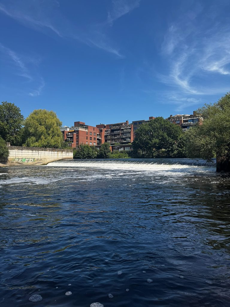 rafting-auf-der-leine